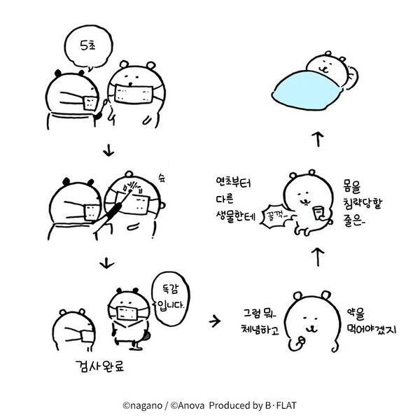 독감 걸린 농담곰 (사진 출처: 농담곰 카페)