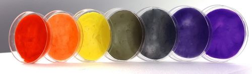 (사진출처: 연합뉴스)