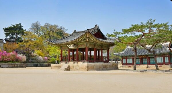 창경궁 (사진 출처 : 국가유산진흥원)