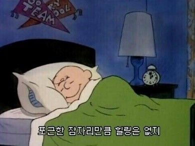 면역 세포의 활동을 돕는 수면 (출처 : 커뮤니티)