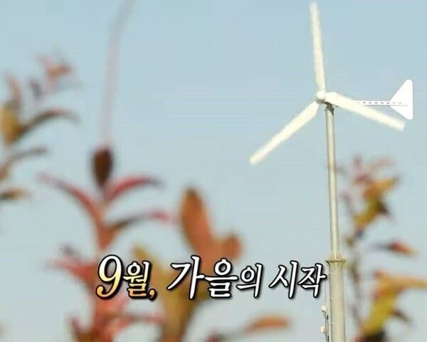 가을의 시작을 알리는 9월 (출처 : 커뮤니티)