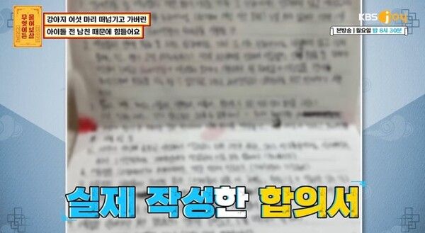 KBS Joy '무엇이든 물어보살(무물보)' 