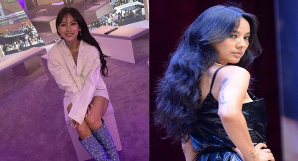 이효리 인스타그램/온라인커뮤니티