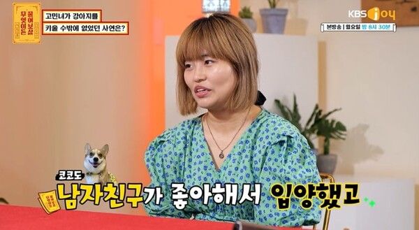 KBS Joy '무엇이든 물어보살(무물보)' 