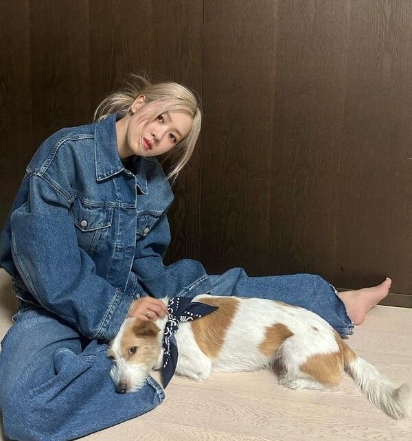 로제 인스타그램