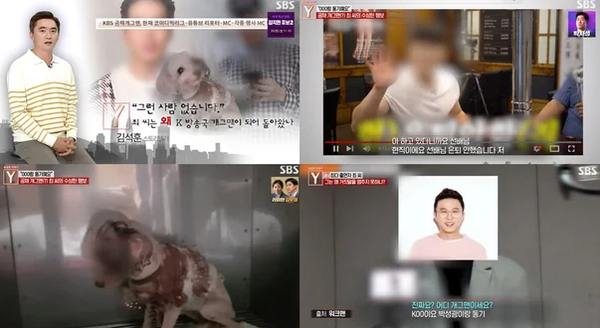 SBS '궁금한 이야기Y'