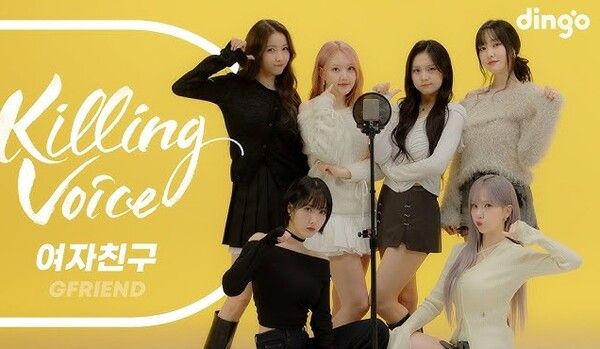 유튜브 채널 딩고뮤직