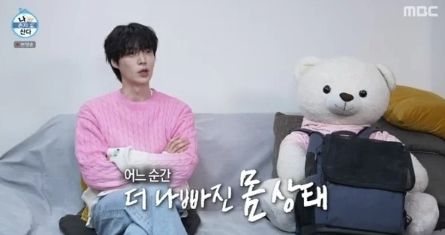  MBC 예능 프로그램 '나 혼자 산다'