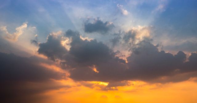 온라인 커뮤니티