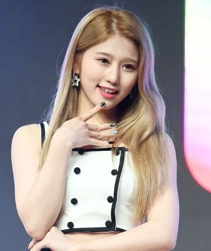 온라인커뮤니티