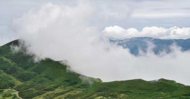 온라인 커뮤니티