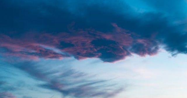 온라인 커뮤니티