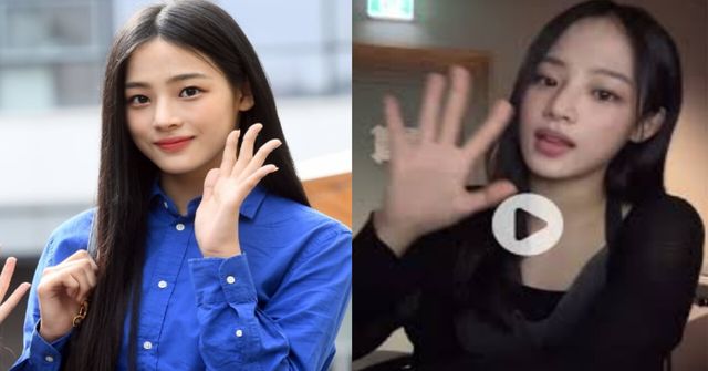 민지 온라인커뮤니티