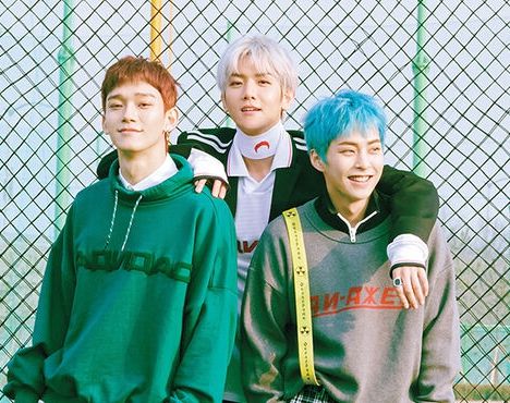 첸백시 온라인커뮤니티