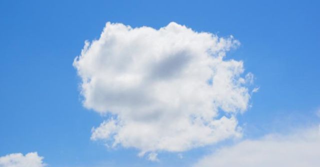 온라인 커뮤니티