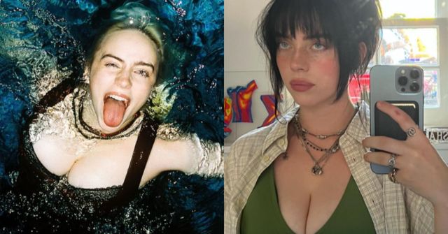 빌리 아일리시 SNS