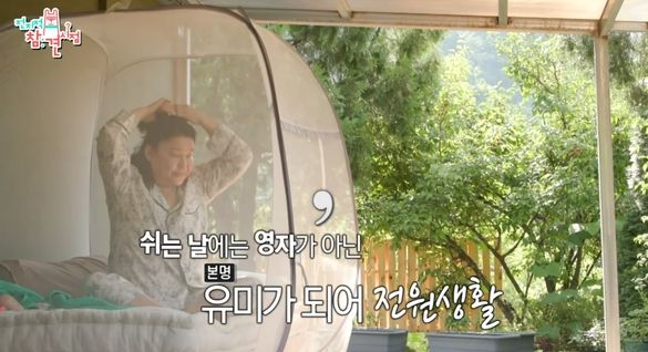  MBC 예능 프로그램 '전지적 참견 시점'