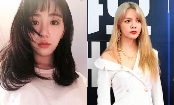 온라인커뮤니티