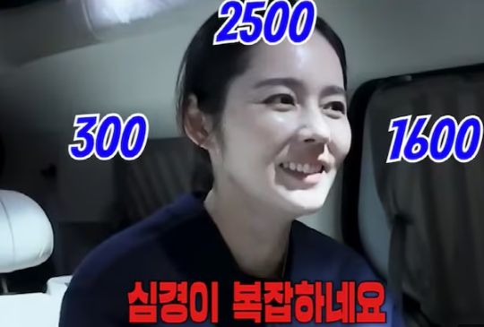 한가인 유튜브