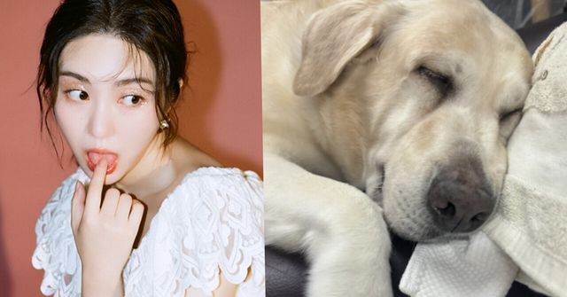 권민아 인스타그램