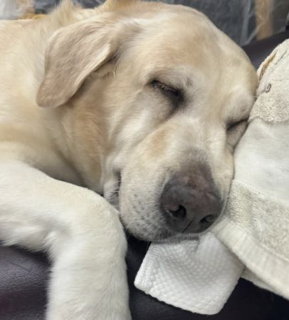 권민아 인스타그램