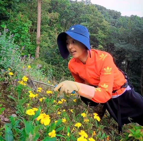 마야 인스타그램