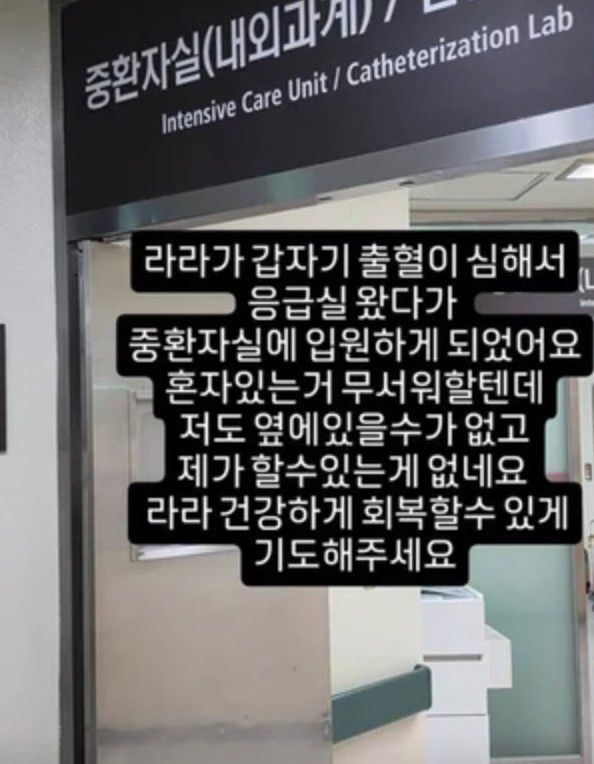 손민수 인스타그램