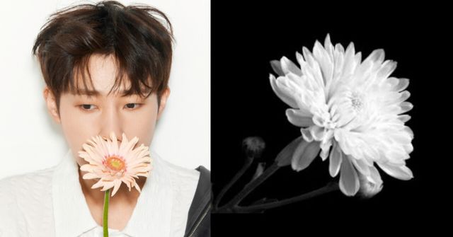 온라인커뮤니티