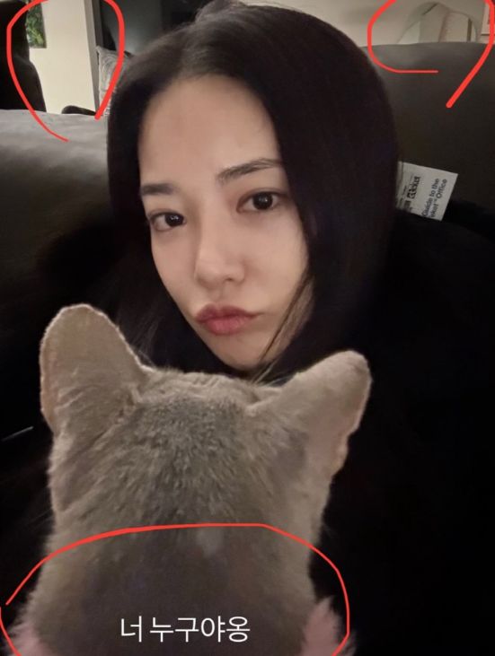 온라인커뮤니티