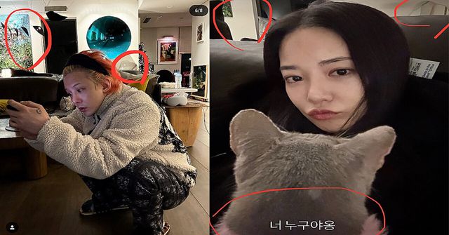 온라인커뮤니티