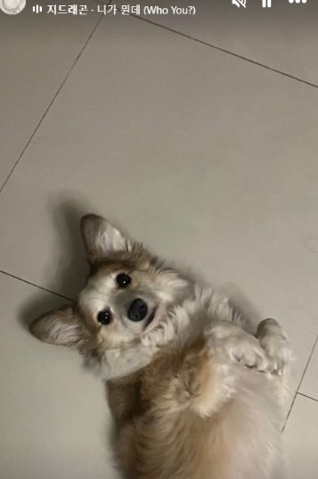 노엘 인스타그램