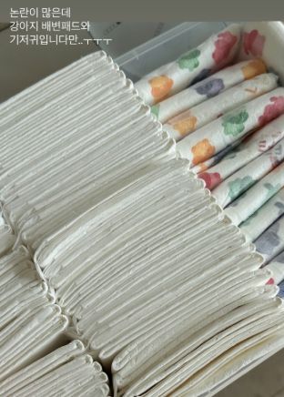 이솔이 인스타그램