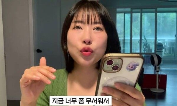 유튜브 채널 '영평티비'