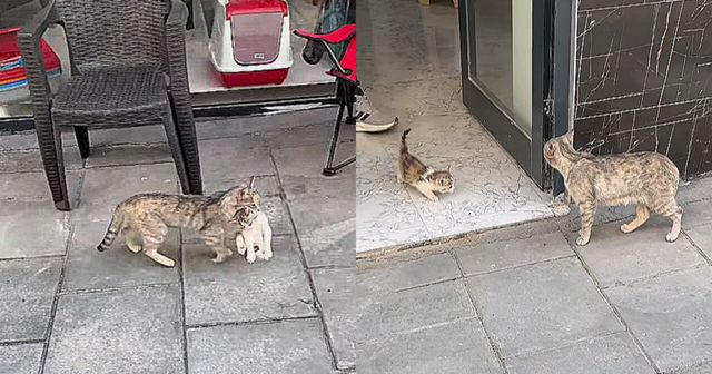 온라인커뮤니티