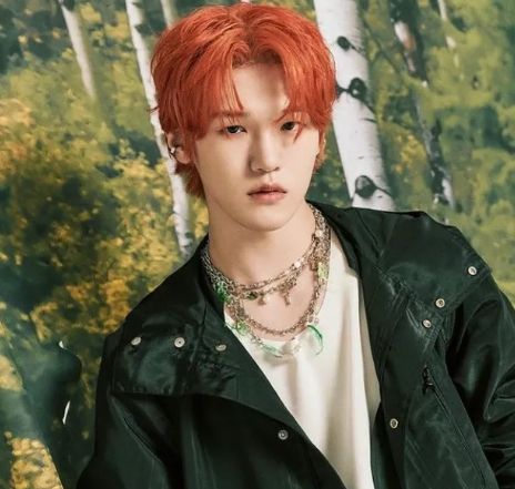 배인 인스타그램