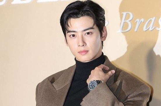 차은우 온라인커뮤니티