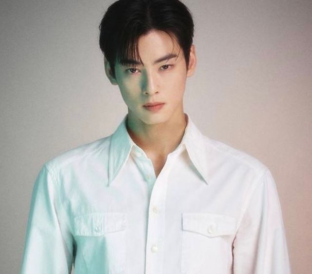 차은우 온라인커뮤니티