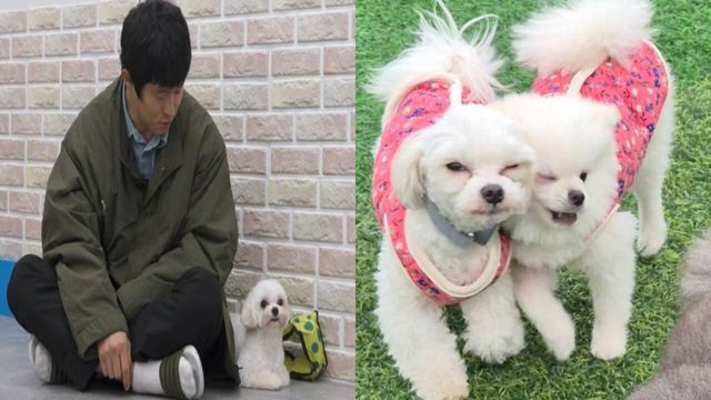 온라인커뮤니티