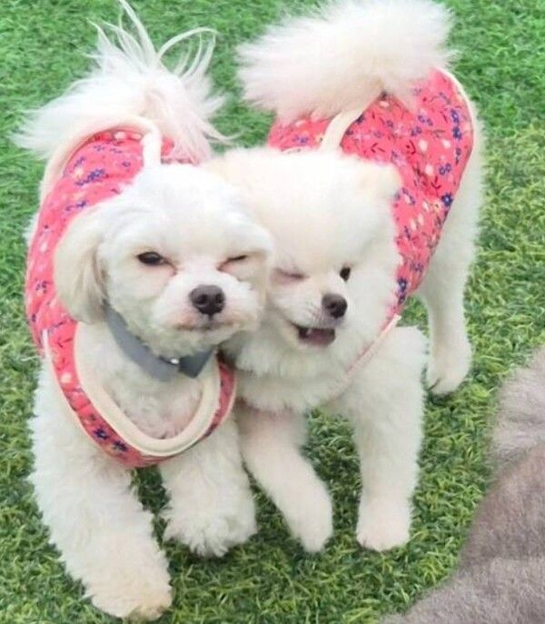 기안84 인스타그램