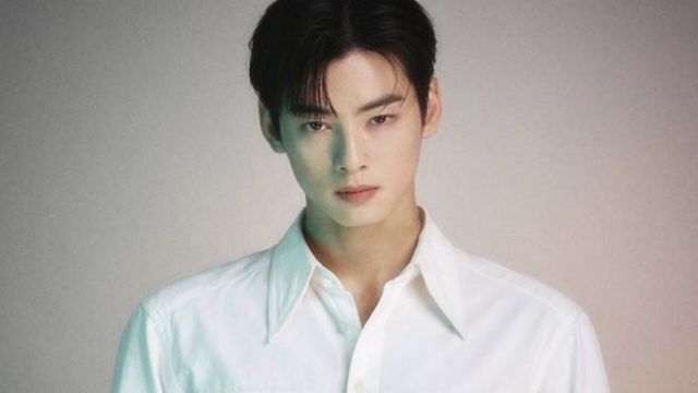 차은우 온라인커뮤니티