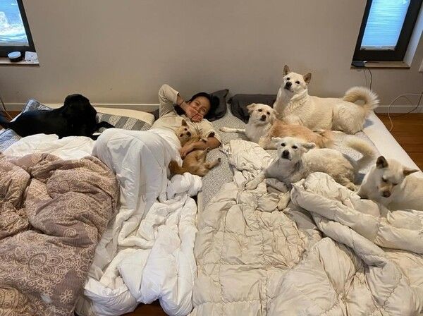 이효리 인스타그램&nbsp;