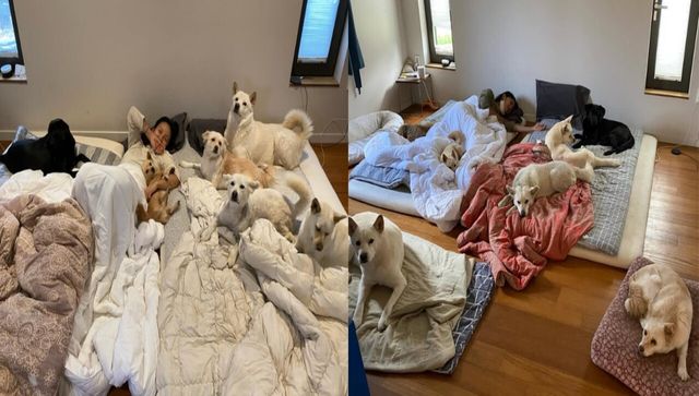 이효리 인스타그램&nbsp;