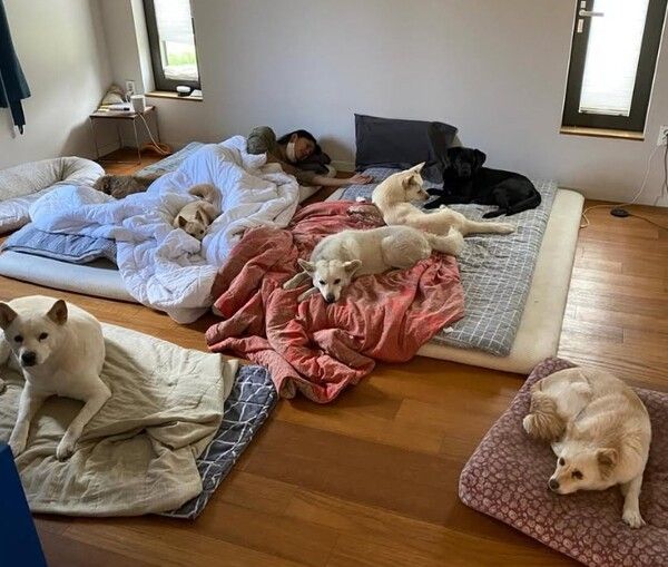 이효리 인스타그램&nbsp;