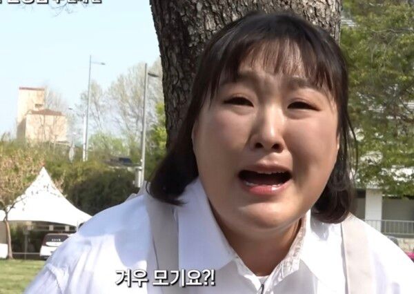 온라인커뮤니티