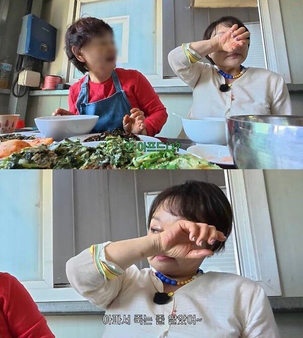 유튜브 채널 '빅마마 이혜정'