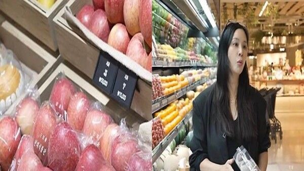 고소영 유튜브