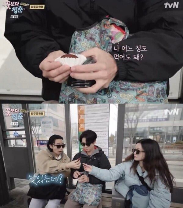 tvN '꽃보다 청춘: 리미티드 에디션'