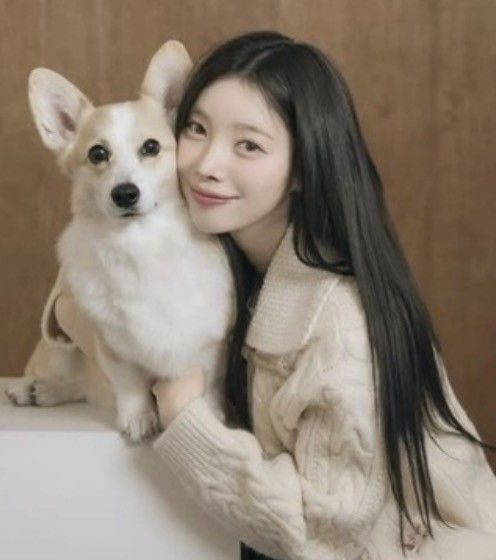 인플루언서 유지유