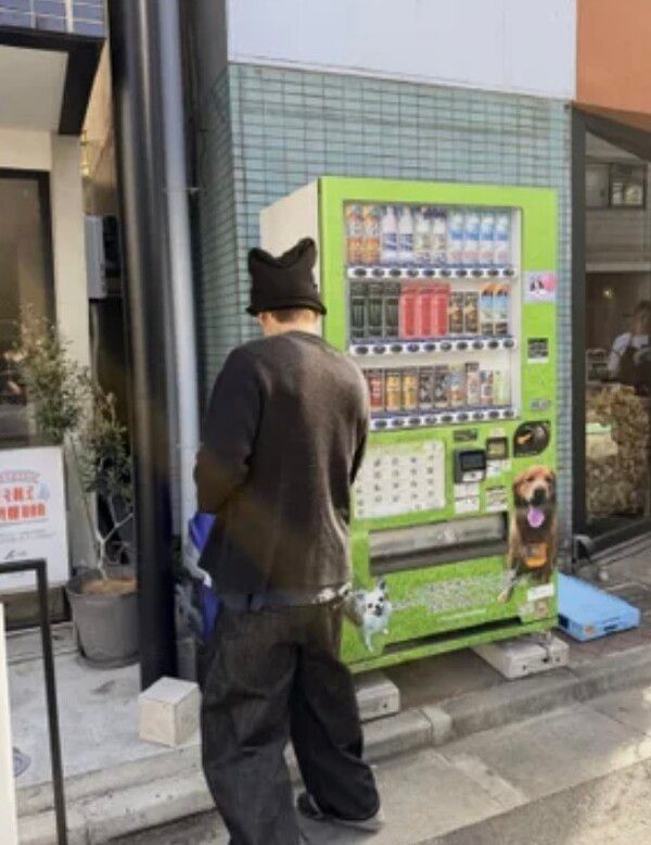 조이 인스타그램
