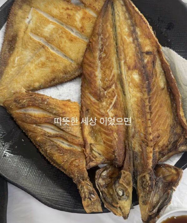 기세은 인스타그램